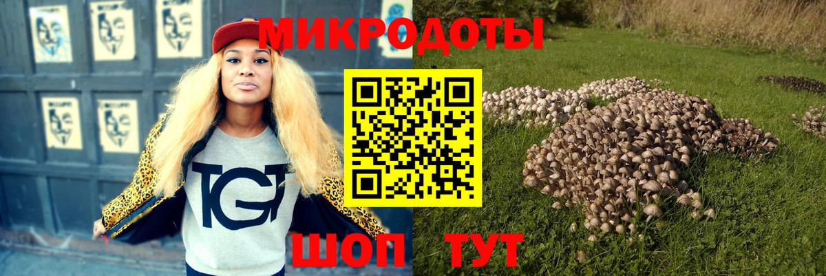 Галлюциногенные грибы MAGIC MUSHROOMS Старая Купавна